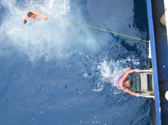 A Ana volta acelerada para o Sea Spirit enquanto o Rodrigo ainda filma e curte as águas geladas de  Brown Bluff, na Antártida